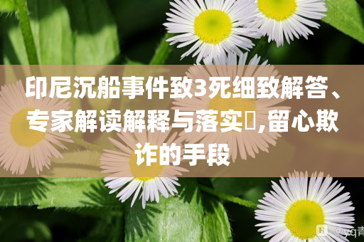印尼沉船事件致3死細(xì)致解答、專家解讀解釋與落實(shí)?,留心欺詐的手段