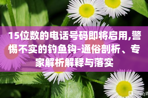 15位數(shù)的電話號(hào)碼即將啟用,警惕不實(shí)的釣魚鉤-通俗剖析、專家解析解釋與落實(shí)