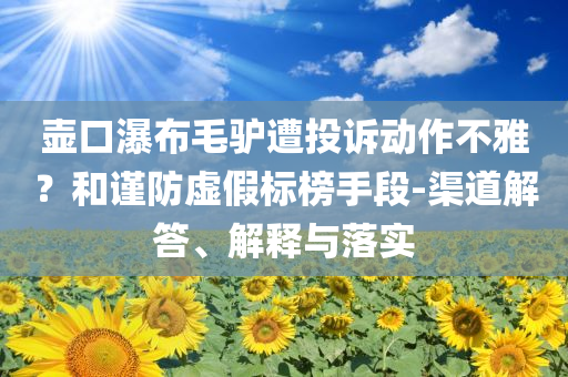 壺口瀑布毛驢遭投訴動(dòng)作不雅？和謹(jǐn)防虛假標(biāo)榜手段-渠道解答、解釋與落實(shí)