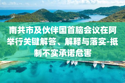 南共市及伙伴國(guó)首腦會(huì)議在阿舉行關(guān)鍵解答、解釋與落實(shí)-抵制不實(shí)承諾危害