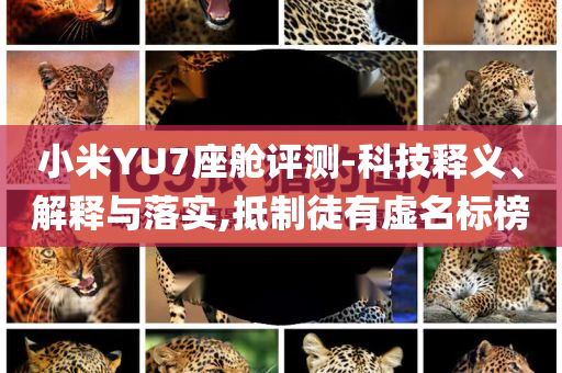 小米YU7座艙評(píng)測(cè)-科技釋義、解釋與落實(shí),抵制徒有虛名標(biāo)榜