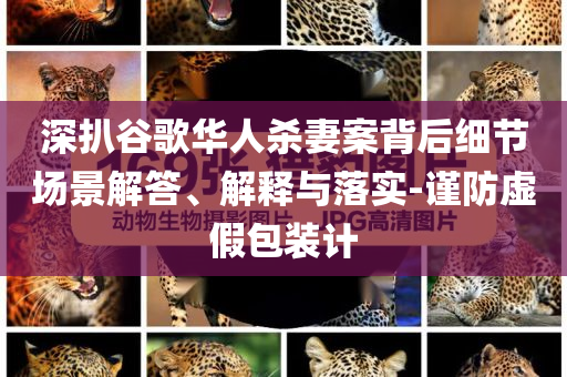 深扒谷歌華人殺妻案背后細(xì)節(jié)場景解答、解釋與落實(shí)-謹(jǐn)防虛假包裝計(jì)