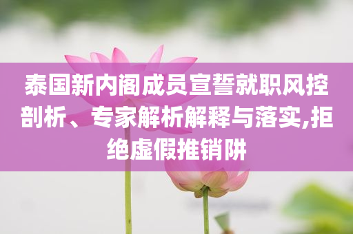 泰國(guó)新內(nèi)閣成員宣誓就職風(fēng)控剖析、專(zhuān)家解析解釋與落實(shí),拒絕虛假推銷(xiāo)阱