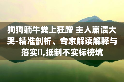 狗狗躺牛糞上狂蹭 主人崩潰大哭-精準(zhǔn)剖析、專家解讀解釋與落實(shí)?,抵制不實(shí)標(biāo)榜坑