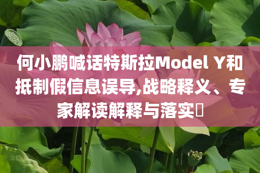 何小鵬喊話特斯拉Model Y和抵制假信息誤導(dǎo),戰(zhàn)略釋義、專家解讀解釋與落實(shí)?