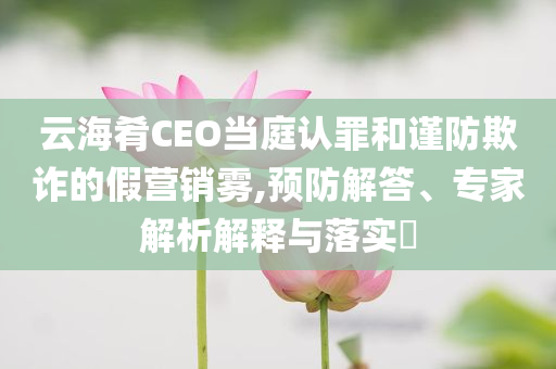 云海肴CEO當(dāng)庭認(rèn)罪和謹(jǐn)防欺詐的假營銷霧,預(yù)防解答、專家解析解釋與落實?