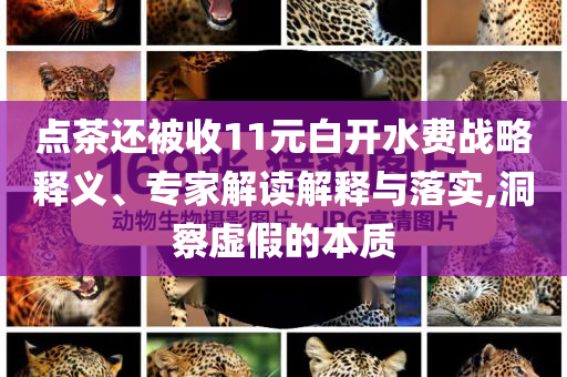 點茶還被收11元白開水費戰(zhàn)略釋義、專家解讀解釋與落實,洞察虛假的本質(zhì)