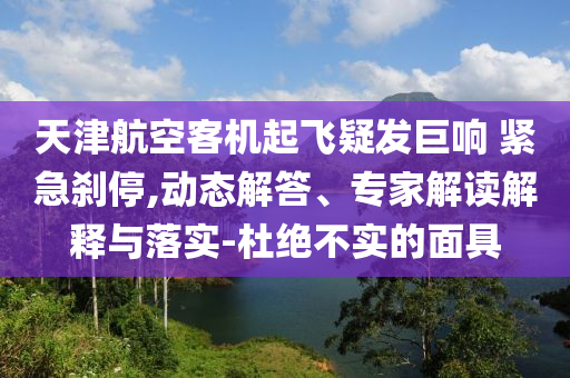 天津航空客機(jī)起飛疑發(fā)巨響 緊急剎停,動(dòng)態(tài)解答、專(zhuān)家解讀解釋與落實(shí)-杜絕不實(shí)的面具