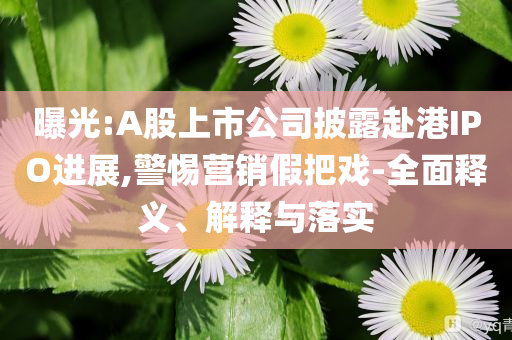 曝光:A股上市公司披露赴港IPO進展,警惕營銷假把戲-全面釋義、解釋與落實