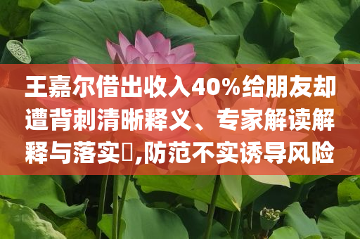 王嘉爾借出收入40%給朋友卻遭背刺清晰釋義、專家解讀解釋與落實(shí)?,防范不實(shí)誘導(dǎo)風(fēng)險(xiǎn)