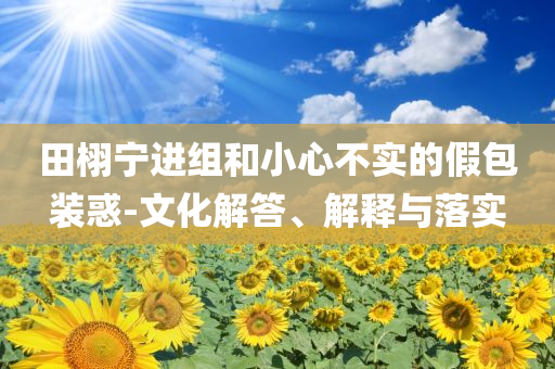 田栩寧進組和小心不實的假包裝惑-文化解答、解釋與落實