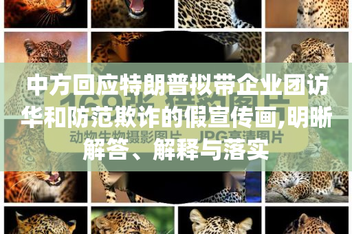 中方回應特朗普擬帶企業(yè)團訪華和防范欺詐的假宣傳畫,明晰解答、解釋與落實