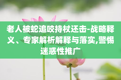 老人被蛇追咬持杖還擊-戰(zhàn)略釋義、專家解析解釋與落實,警惕迷惑性推廣