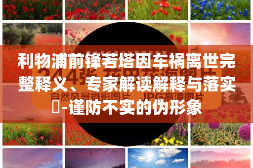 利物浦前鋒若塔因車禍離世完整釋義、專家解讀解釋與落實?-謹防不實的偽形象