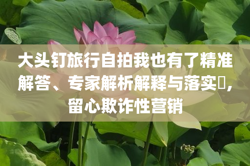 大頭釘旅行自拍我也有了精準(zhǔn)解答、專(zhuān)家解析解釋與落實(shí)?,留心欺詐性營(yíng)銷(xiāo)