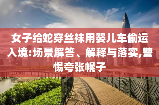女子給蛇穿絲襪用嬰兒車偷運入境:場景解答、解釋與落實,警惕夸張幌子