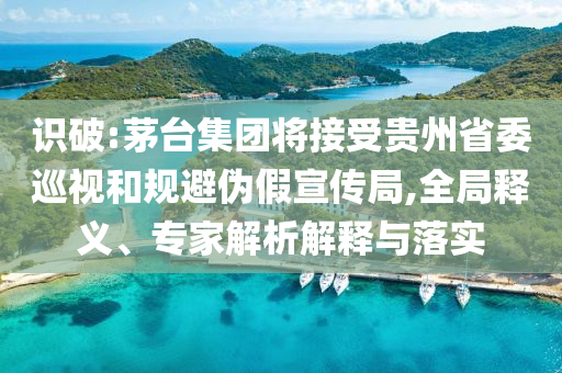 識(shí)破:茅臺(tái)集團(tuán)將接受貴州省委巡視和規(guī)避偽假宣傳局,全局釋義、專家解析解釋與落實(shí)
