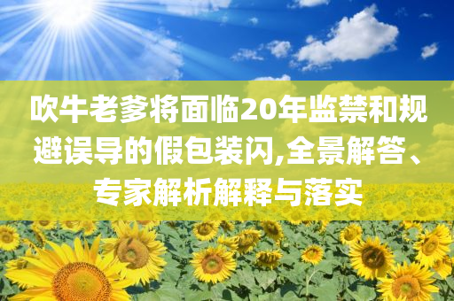 吹牛老爹將面臨20年監(jiān)禁和規(guī)避誤導(dǎo)的假包裝閃,全景解答、專家解析解釋與落實(shí)