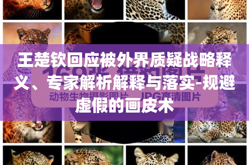 王楚欽回應被外界質(zhì)疑戰(zhàn)略釋義、專家解析解釋與落實-規(guī)避虛假的畫皮術(shù)