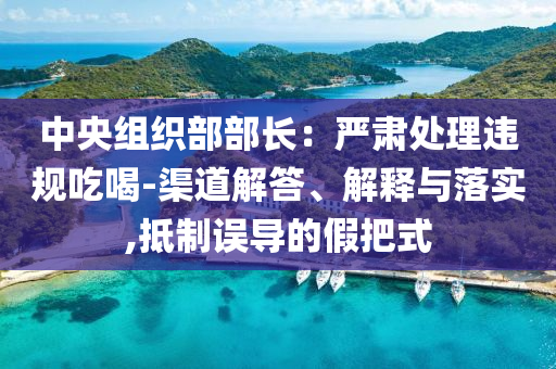 中央組織部部長：嚴肅處理違規(guī)吃喝-渠道解答、解釋與落實,抵制誤導的假把式