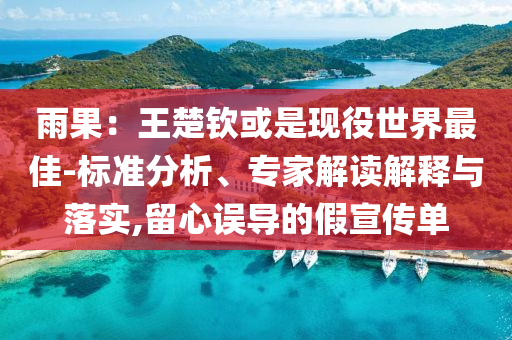 雨果：王楚欽或是現(xiàn)役世界最佳-標(biāo)準(zhǔn)分析、專家解讀解釋與落實,留心誤導(dǎo)的假宣傳單