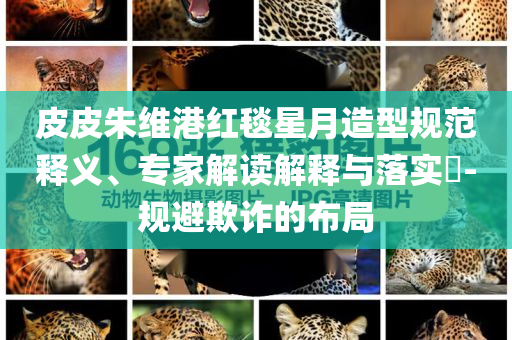 皮皮朱維港紅毯星月造型規(guī)范釋義、專家解讀解釋與落實?-規(guī)避欺詐的布局