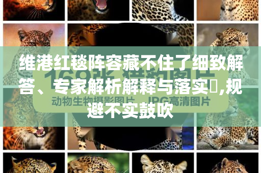 維港紅毯陣容藏不住了細(xì)致解答、專家解析解釋與落實(shí)?,規(guī)避不實(shí)鼓吹