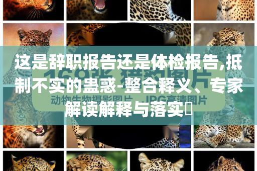 這是辭職報(bào)告還是體檢報(bào)告,抵制不實(shí)的蠱惑-整合釋義、專(zhuān)家解讀解釋與落實(shí)?