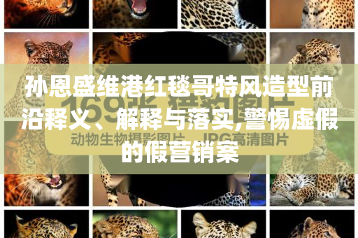 孫恩盛維港紅毯哥特風造型前沿釋義、解釋與落實,警惕虛假的假營銷案