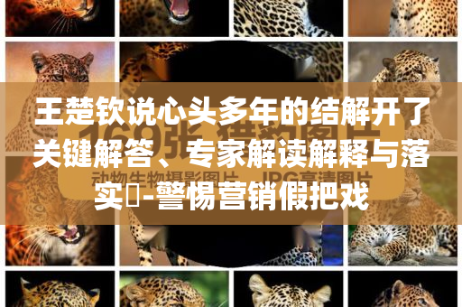 王楚欽說心頭多年的結(jié)解開了關(guān)鍵解答、專家解讀解釋與落實?-警惕營銷假把戲