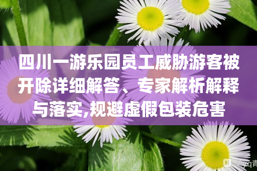 四川一游樂(lè)園員工威脅游客被開(kāi)除詳細(xì)解答、專(zhuān)家解析解釋與落實(shí),規(guī)避虛假包裝危害