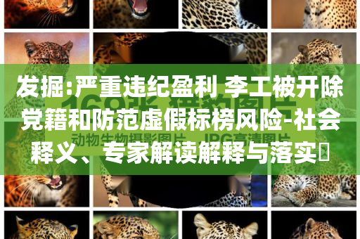 發(fā)掘:嚴重違紀盈利 李工被開除黨籍和防范虛假標榜風險-社會釋義、專家解讀解釋與落實?