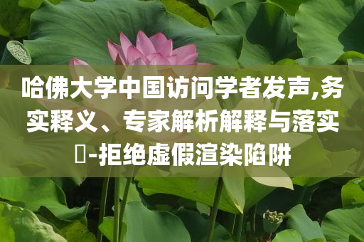 哈佛大學(xué)中國(guó)訪問(wèn)學(xué)者發(fā)聲,務(wù)實(shí)釋義、專家解析解釋與落實(shí)?-拒絕虛假渲染陷阱