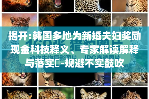 揭開(kāi):韓國(guó)多地為新婚夫婦獎(jiǎng)勵(lì)現(xiàn)金科技釋義、專家解讀解釋與落實(shí)?-規(guī)避不實(shí)鼓吹