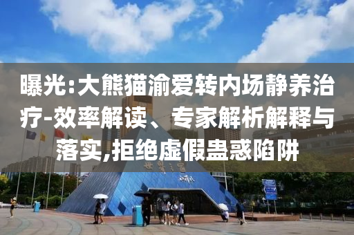 曝光:大熊貓渝愛轉內場靜養(yǎng)治療-效率解讀、專家解析解釋與落實,拒絕虛假蠱惑陷阱