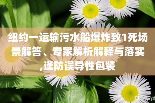 紐約一運輸污水船爆炸致1死場景解答、專家解析解釋與落實,謹(jǐn)防誤導(dǎo)性包裝