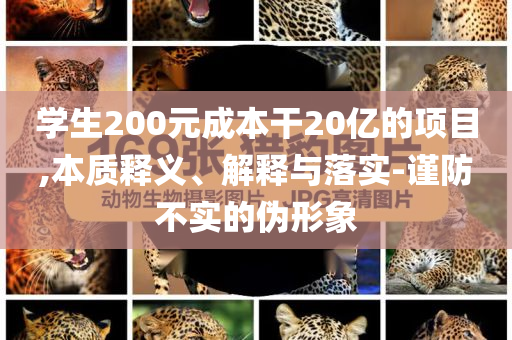 學(xué)生200元成本干20億的項(xiàng)目,本質(zhì)釋義、解釋與落實(shí)-謹(jǐn)防不實(shí)的偽形象