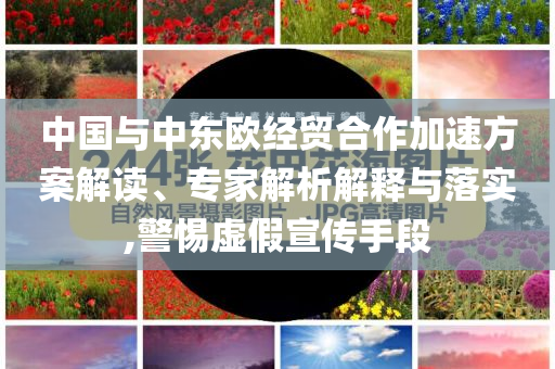 中國與中東歐經(jīng)貿(mào)合作加速方案解讀、專家解析解釋與落實,警惕虛假宣傳手段