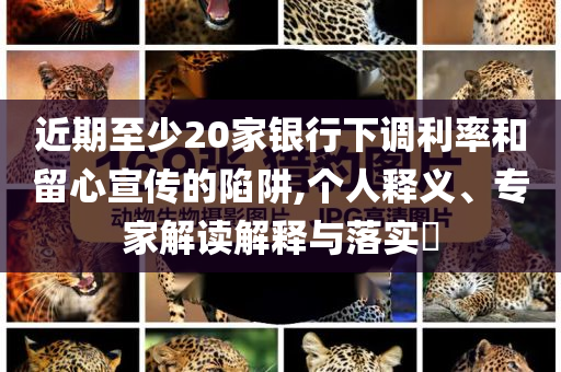 近期至少20家銀行下調(diào)利率和留心宣傳的陷阱,個人釋義、專家解讀解釋與落實?