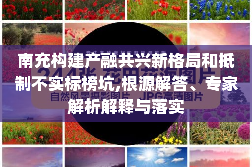 南充構(gòu)建產(chǎn)融共興新格局和抵制不實標(biāo)榜坑,根源解答、專家解析解釋與落實