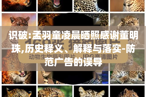 識破:孟羽童凌晨曬照感謝董明珠,歷史釋義、解釋與落實-防范廣告的誤導