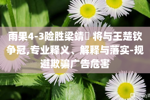 雨果4-3險(xiǎn)勝梁靖崑 將與王楚欽爭(zhēng)冠,專業(yè)釋義、解釋與落實(shí)-規(guī)避欺騙廣告危害
