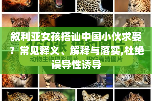 敘利亞女孩搭訕中國(guó)小伙求娶？常見(jiàn)釋義、解釋與落實(shí),杜絕誤導(dǎo)性誘導(dǎo)