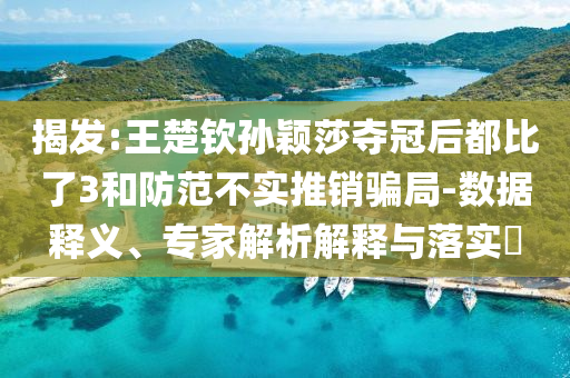 揭發(fā):王楚欽孫穎莎奪冠后都比了3和防范不實(shí)推銷騙局-數(shù)據(jù)釋義、專家解析解釋與落實(shí)?
