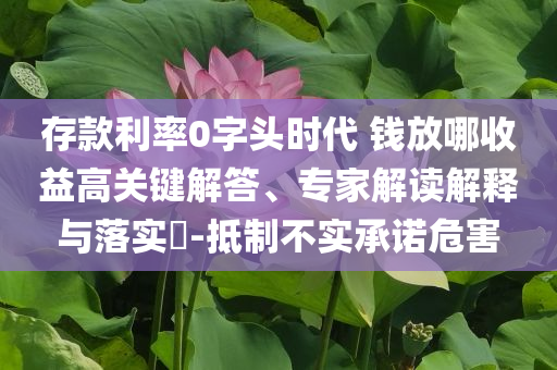 存款利率0字頭時(shí)代 錢放哪收益高關(guān)鍵解答、專家解讀解釋與落實(shí)?-抵制不實(shí)承諾危害