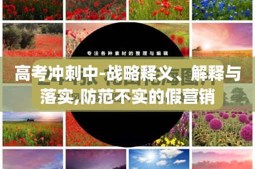 高考沖刺中-戰(zhàn)略釋義、解釋與落實,防范不實的假營銷
