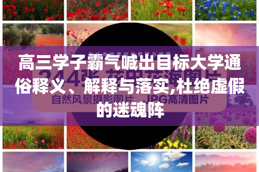 高三學(xué)子霸氣喊出目標(biāo)大學(xué)通俗釋義、解釋與落實(shí),杜絕虛假的迷魂陣