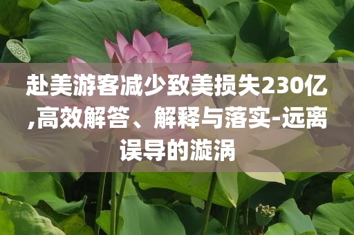 赴美游客減少致美損失230億,高效解答、解釋與落實(shí)-遠(yuǎn)離誤導(dǎo)的漩渦