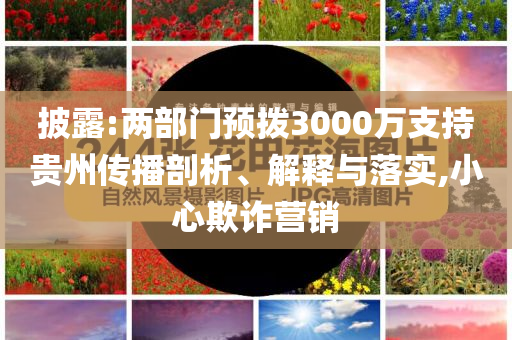 披露:兩部門預(yù)撥3000萬支持貴州傳播剖析、解釋與落實,小心欺詐營銷