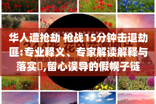 華人遭搶劫 槍戰(zhàn)15分鐘擊退劫匪:專業(yè)釋義、專家解讀解釋與落實(shí)?,留心誤導(dǎo)的假幌子鏈